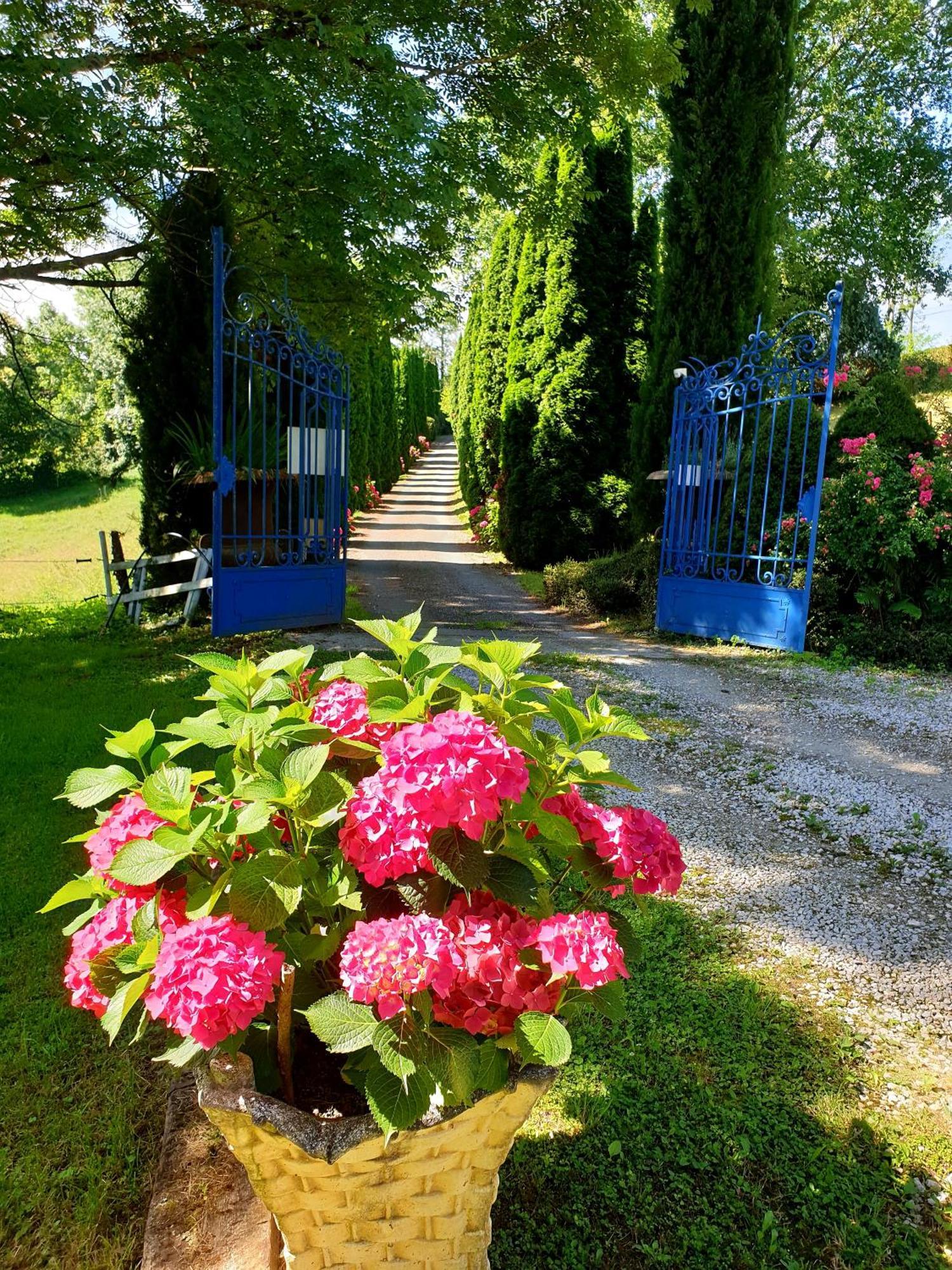 La Ferme De Jeanne Bed & Breakfast Saint-Girons  Eksteriør bilde